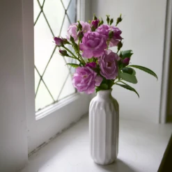 Rise Up Lilac Days™ Climbing Rose 10 Rise Up Lilac Days™ Climbing Rose -Green Haven Shop RosaRiseUpLilacDaysP1173972 800x800 2fcb2d6