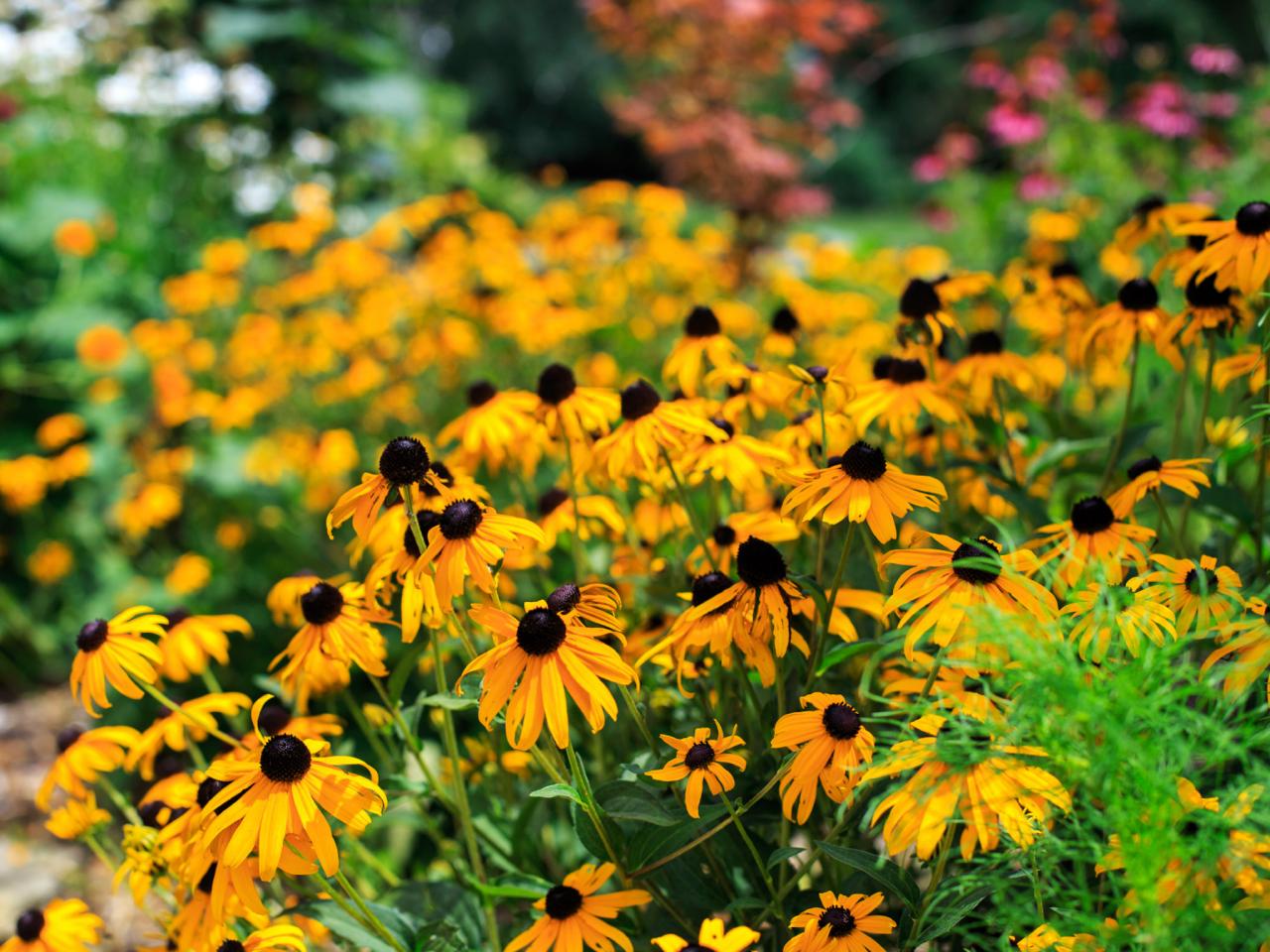 Front Page -Green Haven Shop 1453855595790